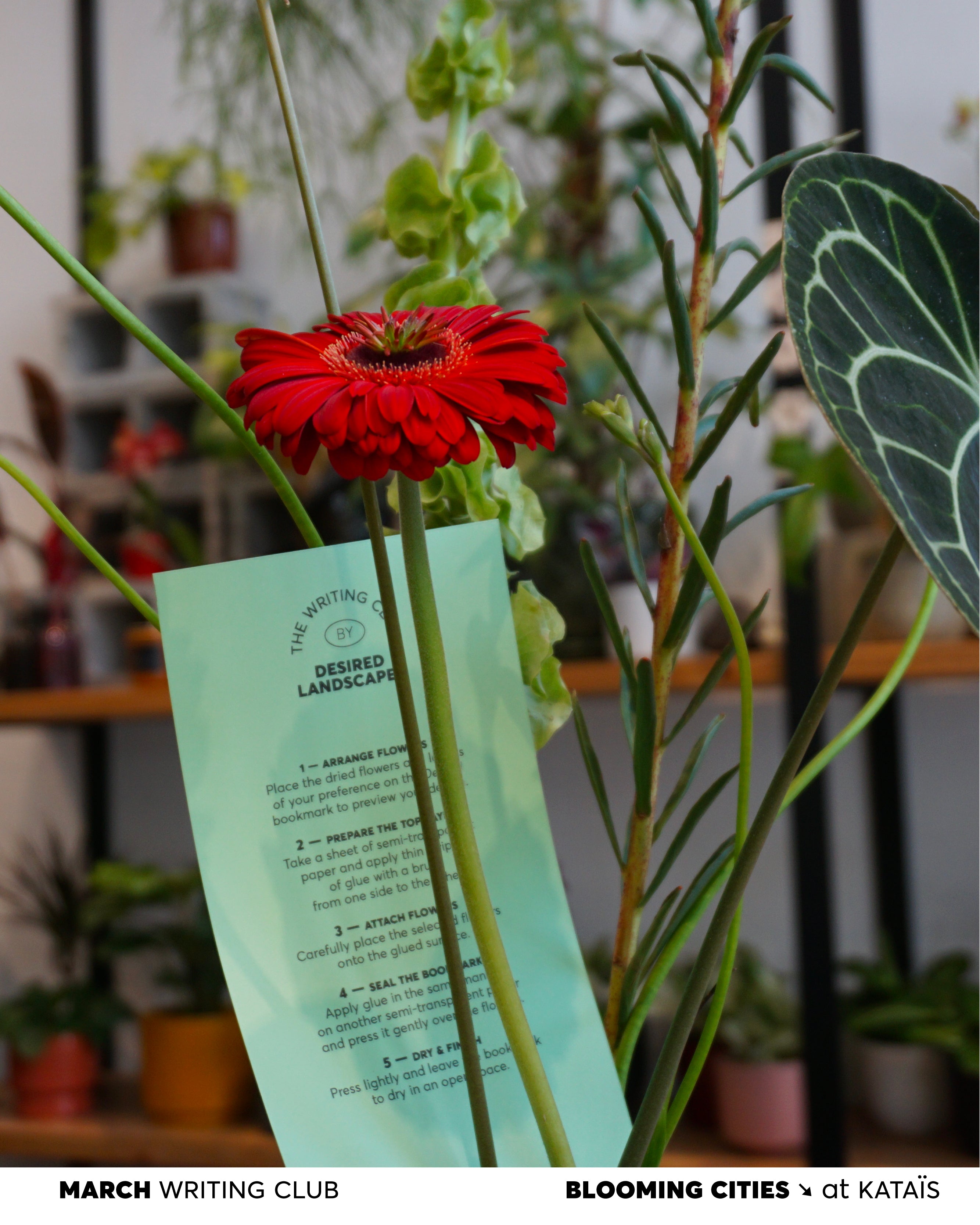 MARCH Writing Club: Blooming Cities