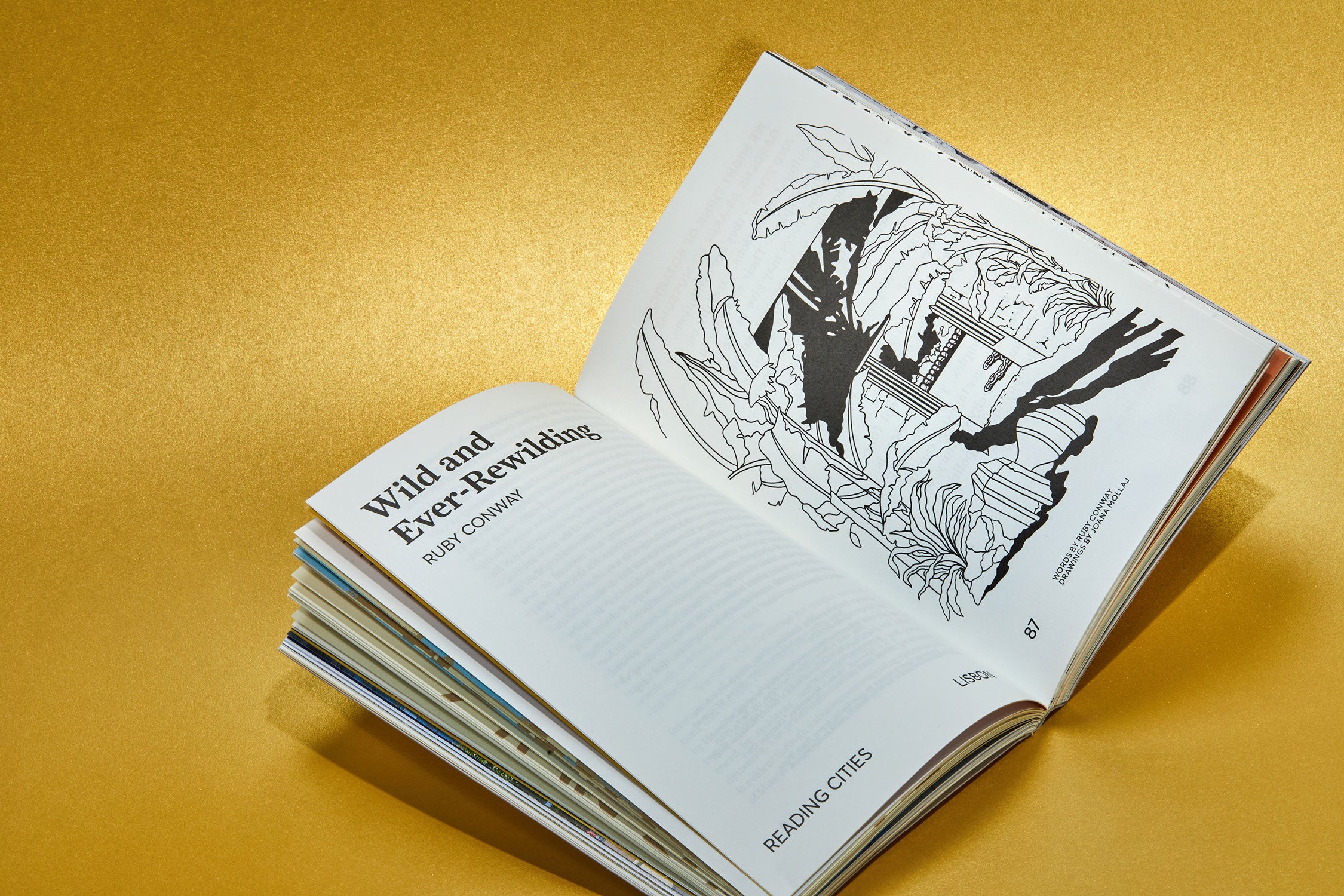 ISSUE 08
