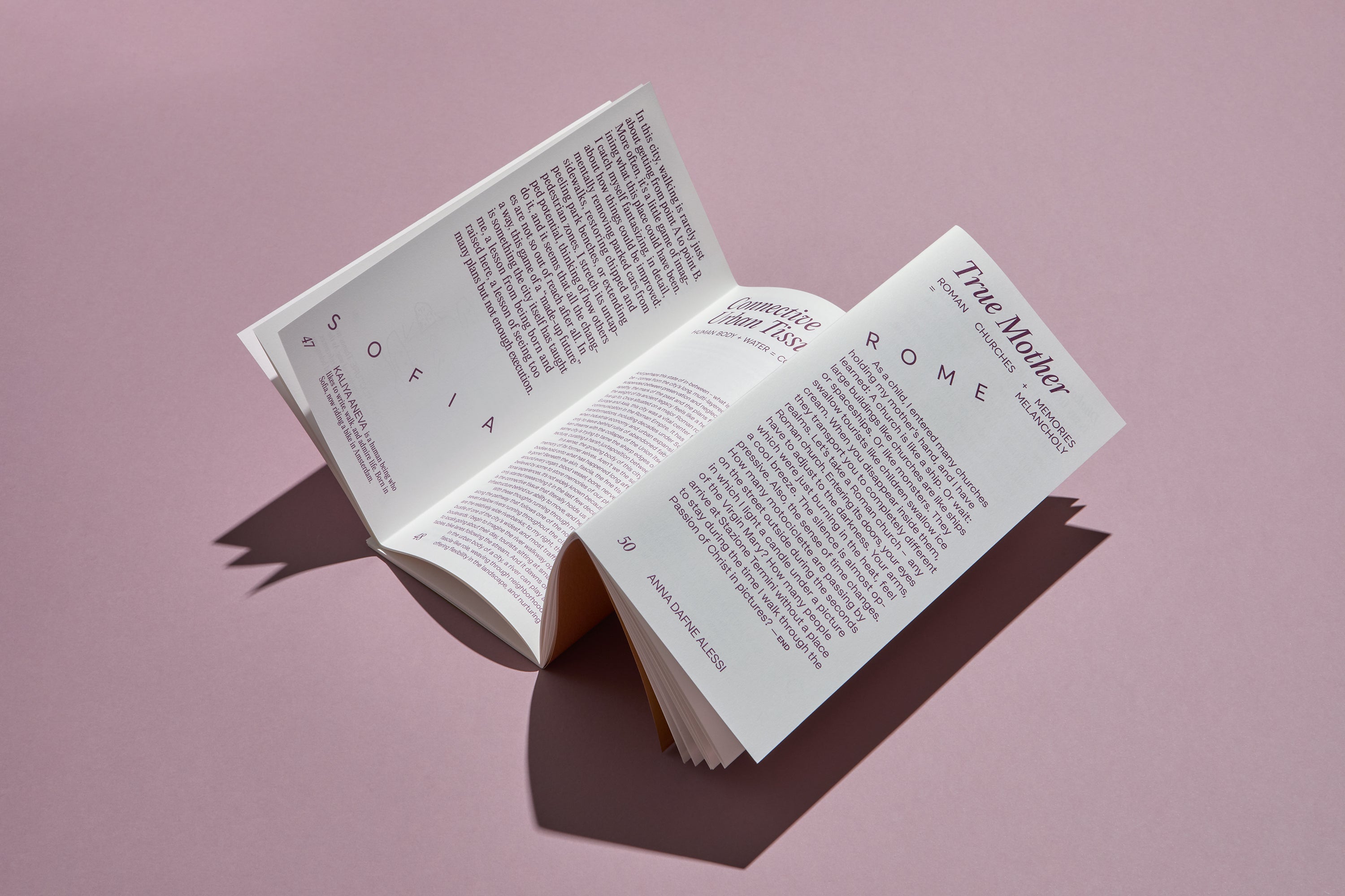 Desired Essays Journal 01