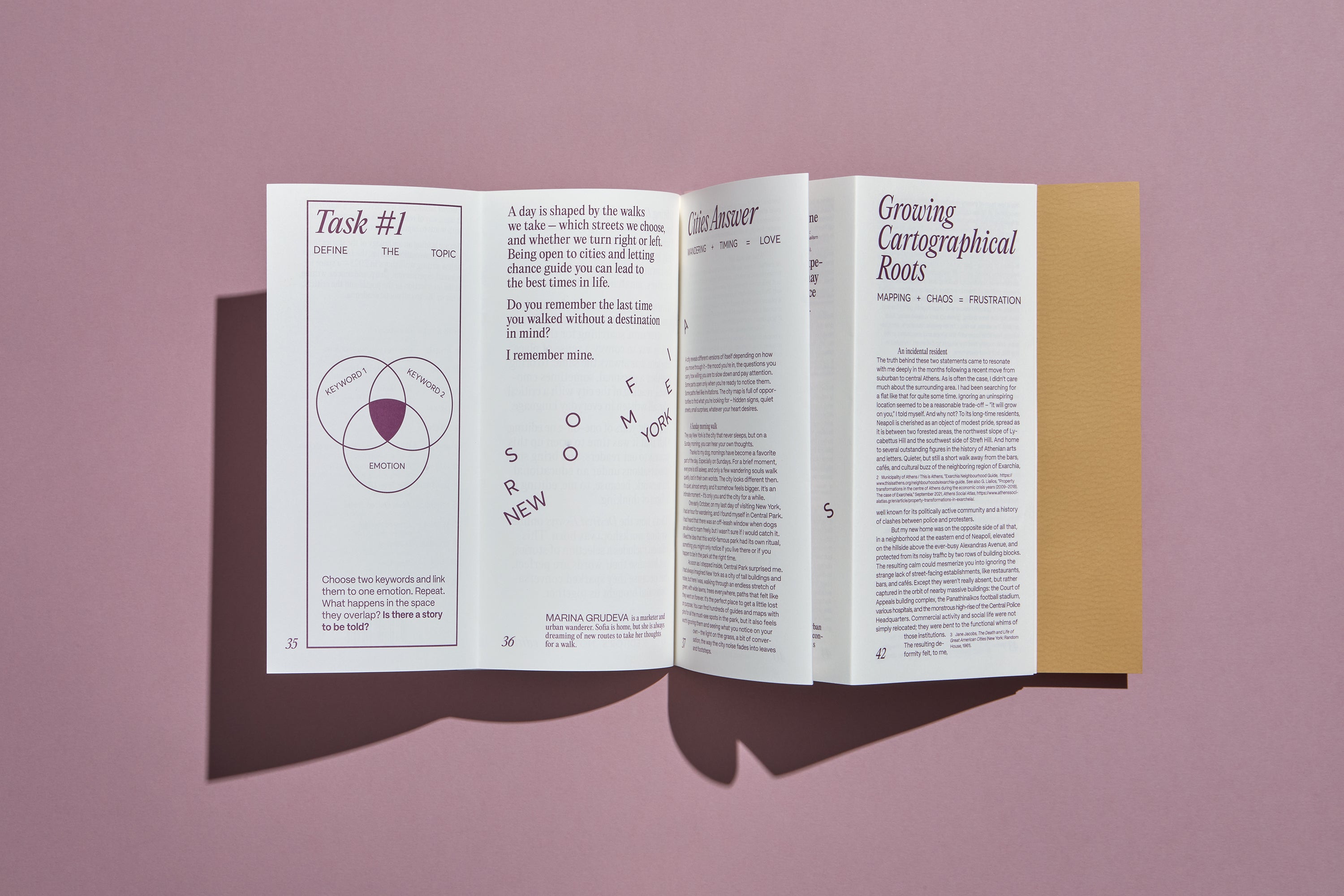 Desired Essays Journal 01
