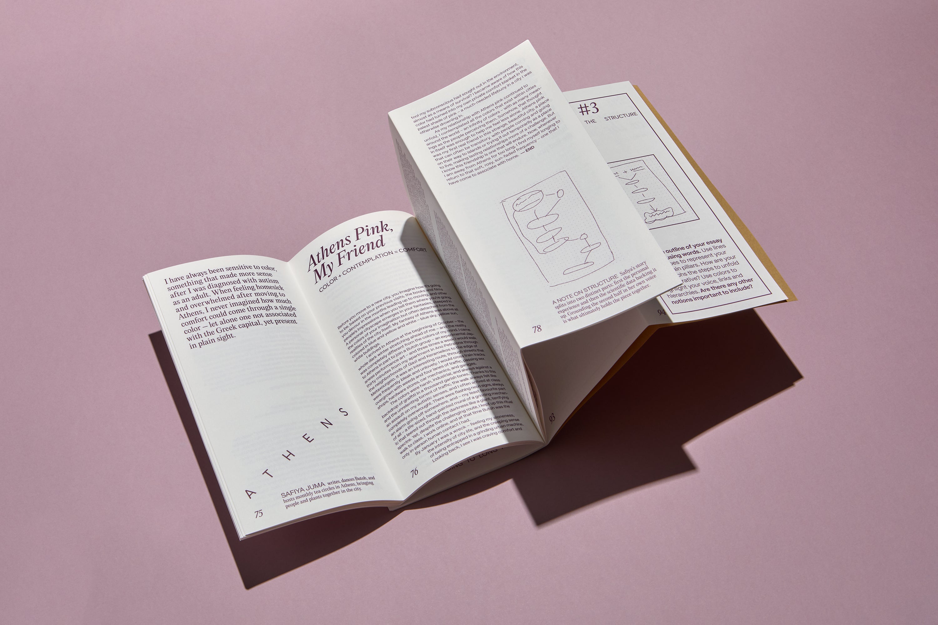 Desired Essays Journal 01
