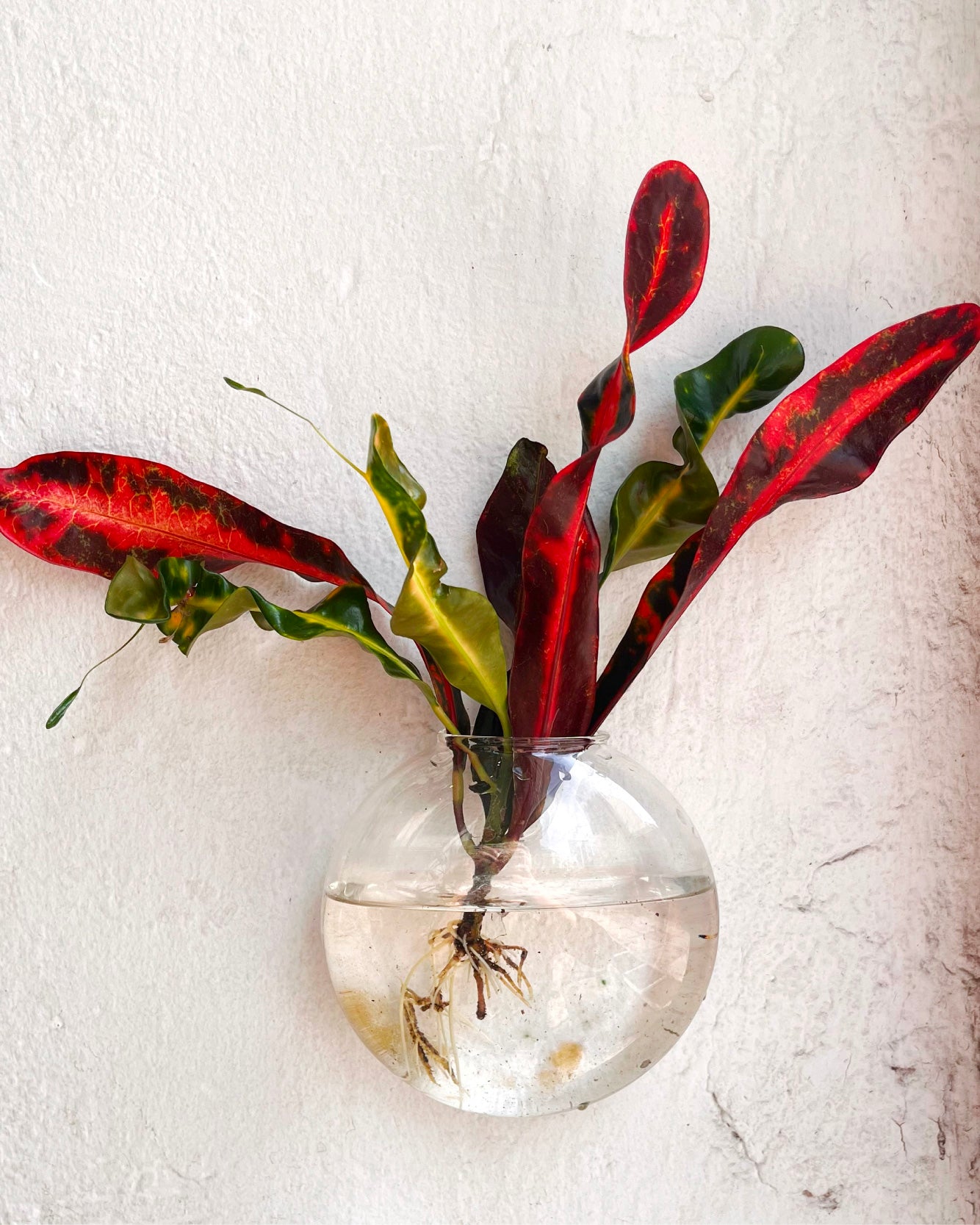 Desired Writing Club: Cities & Roots