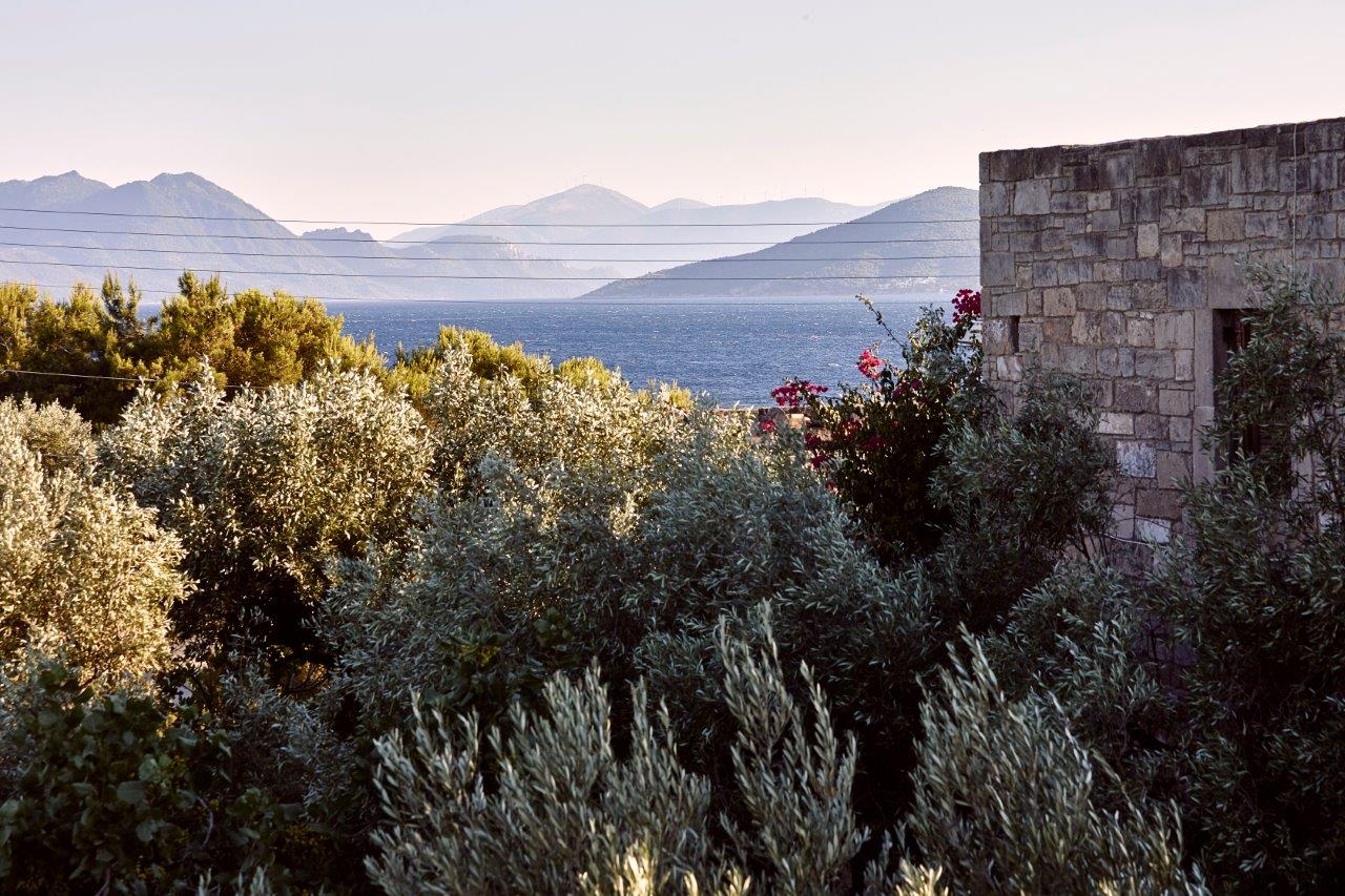 Desired Essays: October Aegina Writing Retreat